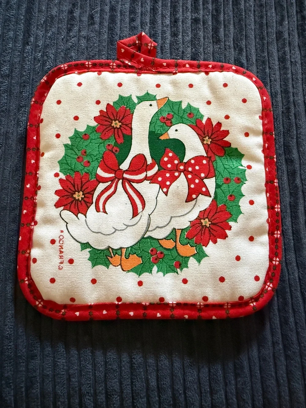 Vintage Holiday Goose Oven Mitt and Pot Holders - Red